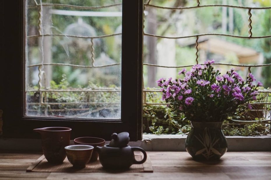 décorer son intérieur avec des plantes